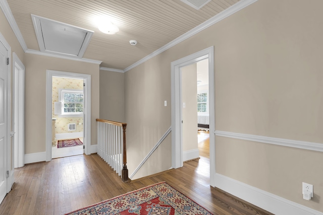 hallway featuring hardwood / wood-style flooring and crown molding