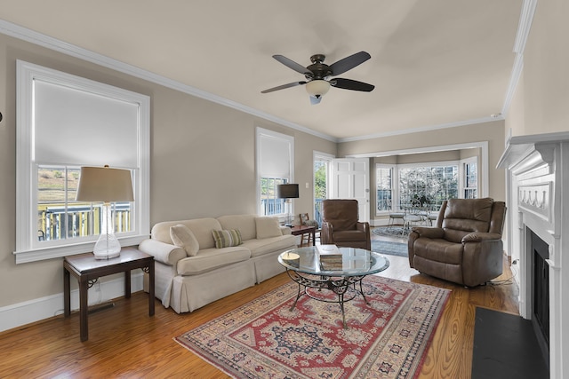 living room with crown molding, ceiling fan, and hardwood / wood-style floors