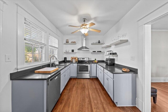 kitchen featuring appliances with stainless steel finishes, sink, dark hardwood / wood-style flooring, ceiling fan, and wall chimney exhaust hood