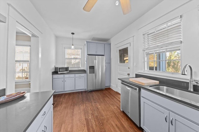 kitchen with sink, gray cabinetry, dark hardwood / wood-style floors, pendant lighting, and stainless steel appliances