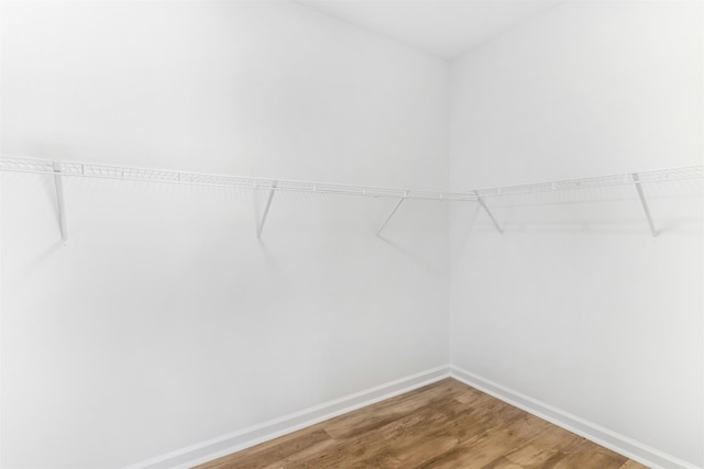 spacious closet featuring hardwood / wood-style flooring