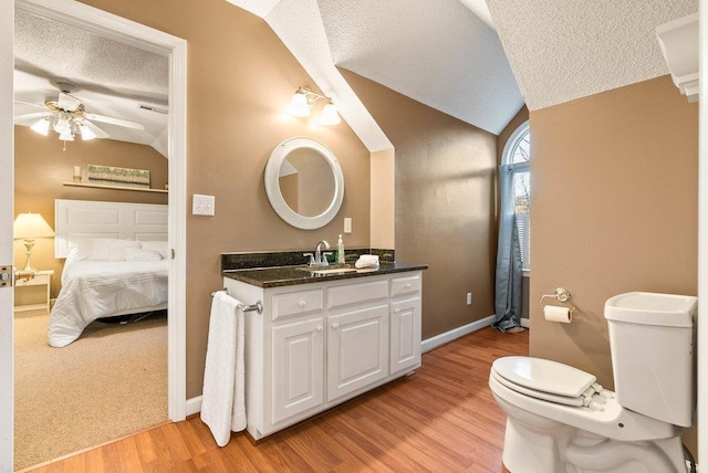 bathroom with lofted ceiling, vanity, a textured ceiling, and toilet