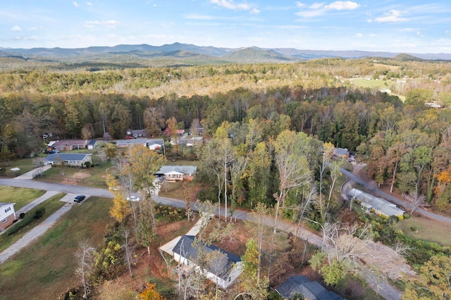 bird's eye view with a mountain view