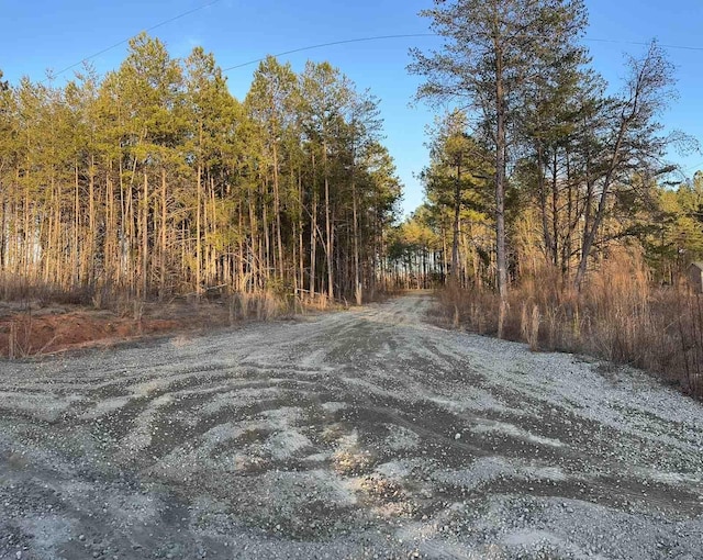 70 Abernathy Rd, Campobello SC, 29322 land for sale