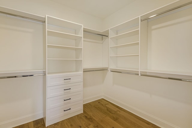 walk in closet with wood-type flooring