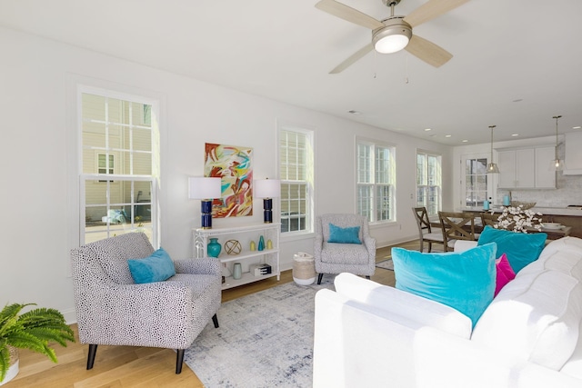 living room featuring ceiling fan and light hardwood / wood-style floors