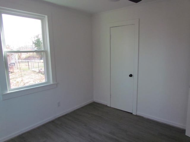 spare room featuring dark wood-type flooring