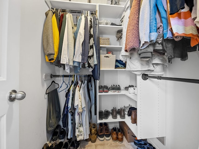 view of walk in closet