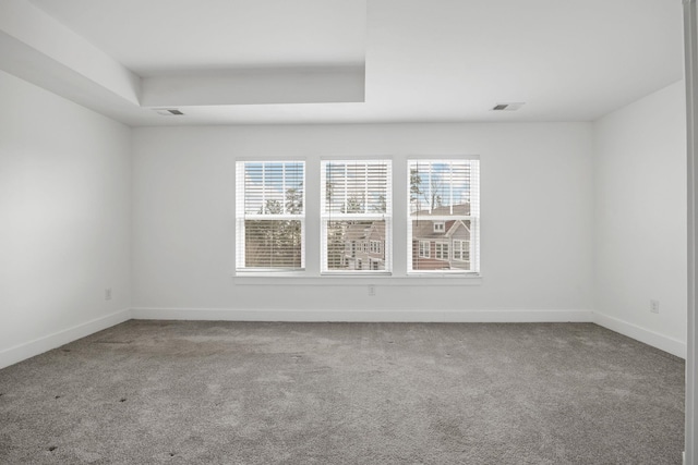 carpeted spare room featuring a raised ceiling