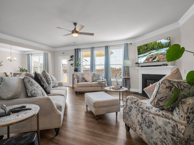 living room with crown molding, plenty of natural light, ceiling fan with notable chandelier, and dark wood-type flooring