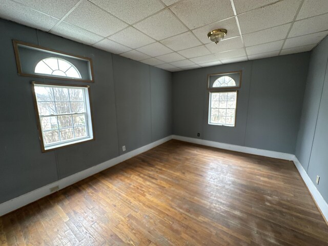 spare room with a drop ceiling and dark hardwood / wood-style flooring