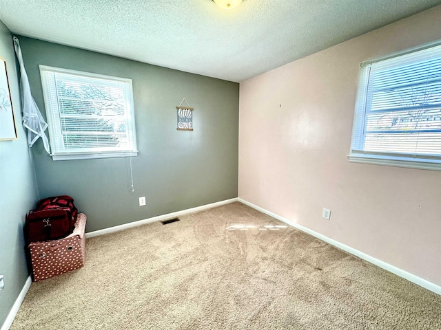 carpeted spare room featuring a healthy amount of sunlight and a textured ceiling