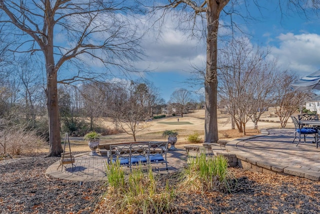 view of yard with a patio