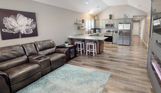 living room featuring sink, high vaulted ceiling, and light hardwood / wood-style flooring