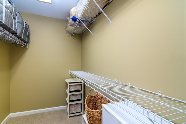 spacious closet with carpet floors