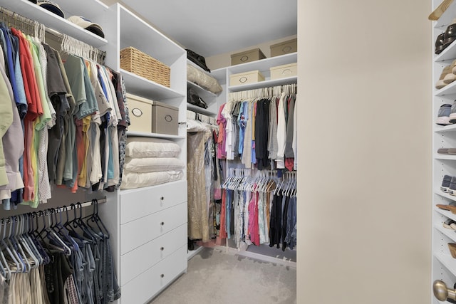 view of spacious closet