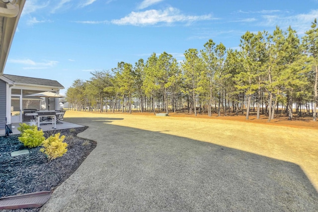 view of yard with a patio area