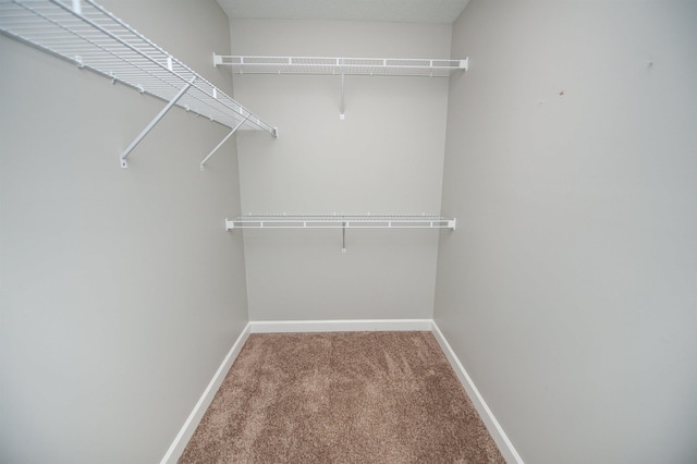 walk in closet with carpet