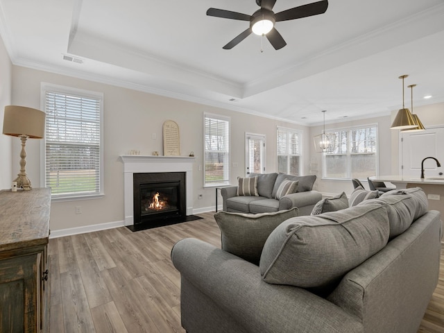 living room with a raised ceiling, a healthy amount of sunlight, sink, and light hardwood / wood-style flooring