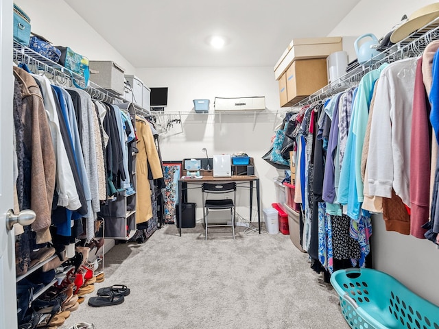walk in closet featuring carpet flooring