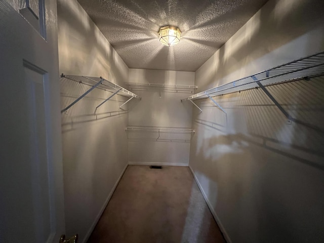 spacious closet featuring carpet floors