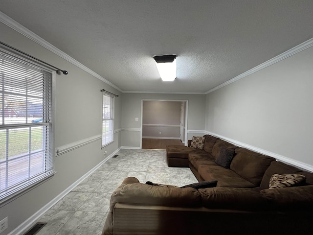 living room featuring crown molding and a textured ceiling