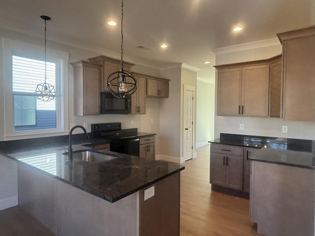 kitchen with black range with electric cooktop, decorative light fixtures, ornamental molding, and sink