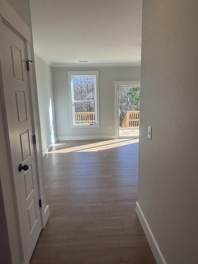 hall featuring dark hardwood / wood-style flooring