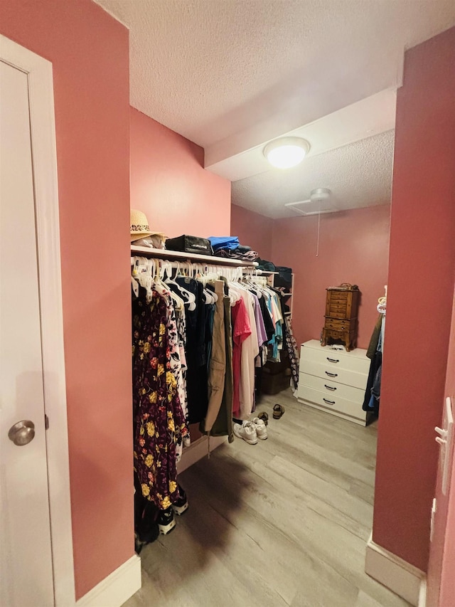 walk in closet with light hardwood / wood-style flooring