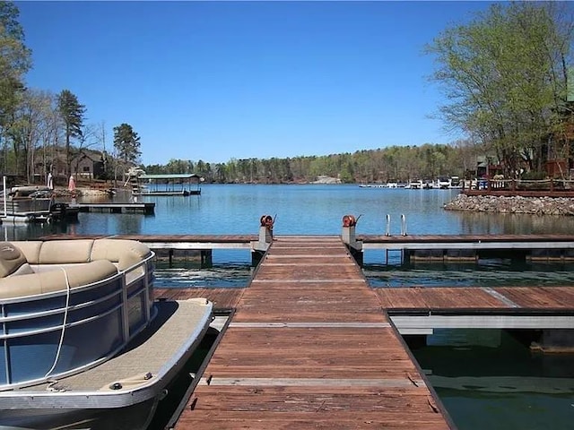 dock area with a water view