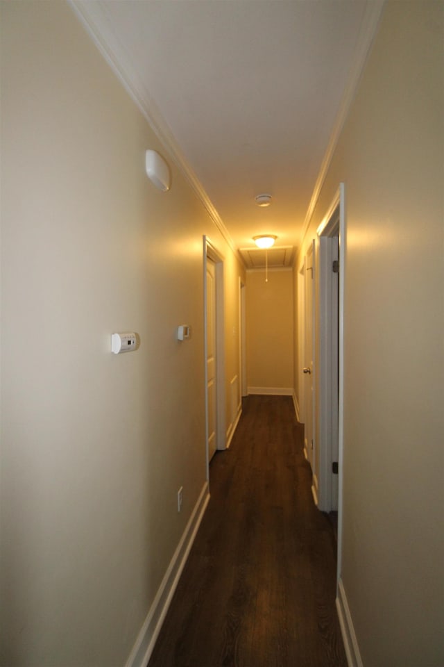 corridor with ornamental molding and dark hardwood / wood-style floors