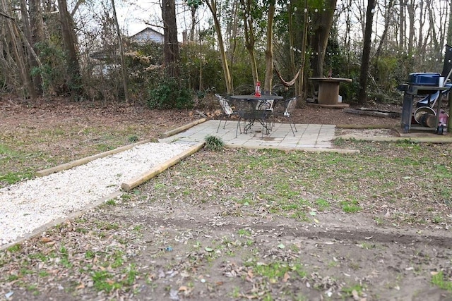 view of yard with a patio area