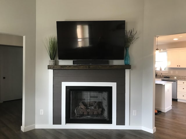 interior details with baseboards, a fireplace, stainless steel dishwasher, and wood finished floors