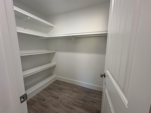 walk in closet featuring dark wood-style flooring