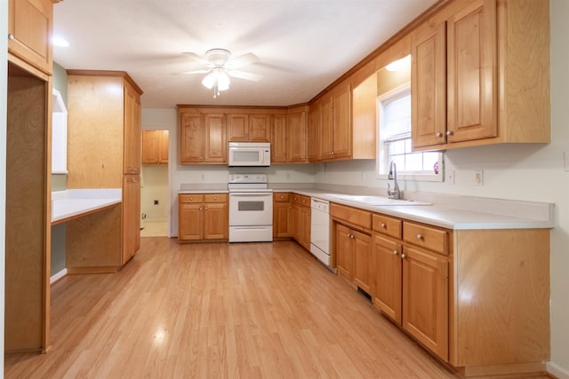 kitchen with light countertops, light wood-style flooring, a ceiling fan, a sink, and white appliances