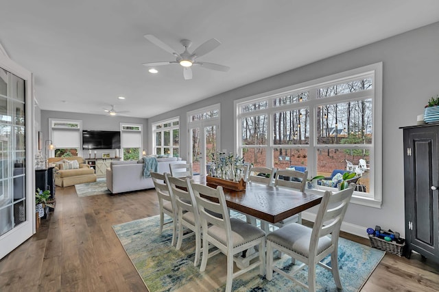 sunroom / solarium with ceiling fan