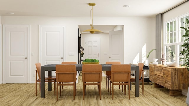 dining area with light wood finished floors