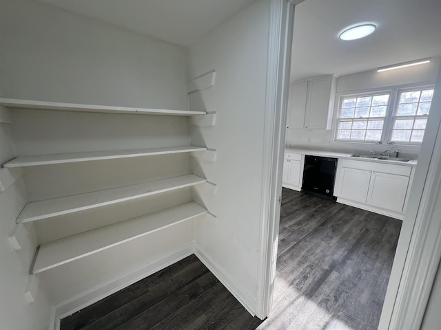 pantry featuring a sink