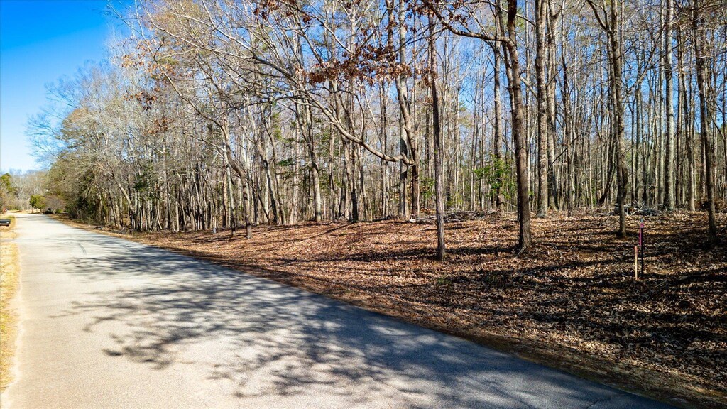 Lot1 Broken Arrow, Pelzer, SC 29669