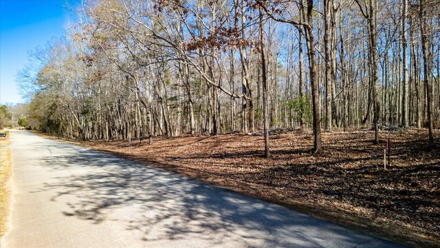 Lot1 Broken Arrow, Pelzer, SC 29669