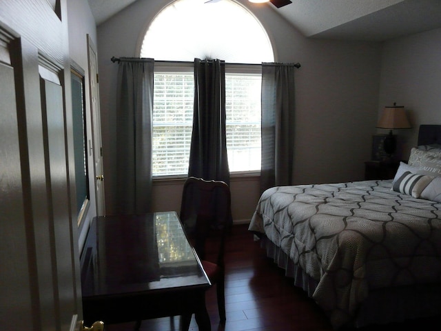 bedroom featuring lofted ceiling, dark wood-type flooring, and multiple windows