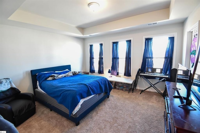 carpeted bedroom with multiple windows and a raised ceiling