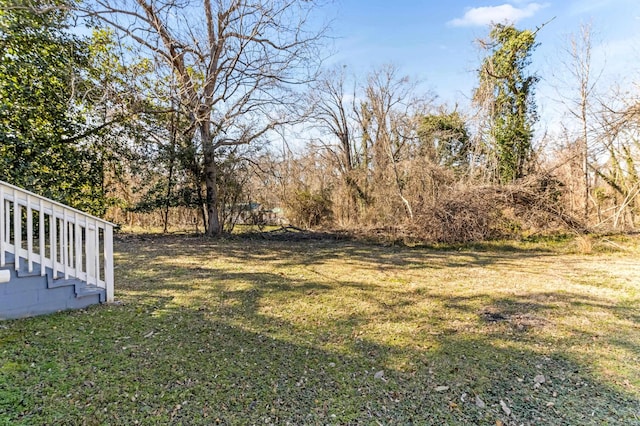 340 W Peachtree, Woodruff, SC 29388 - view of yard