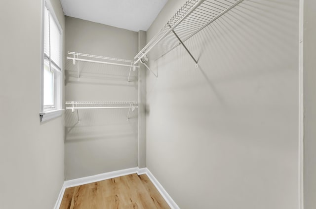 walk in closet featuring wood finished floors