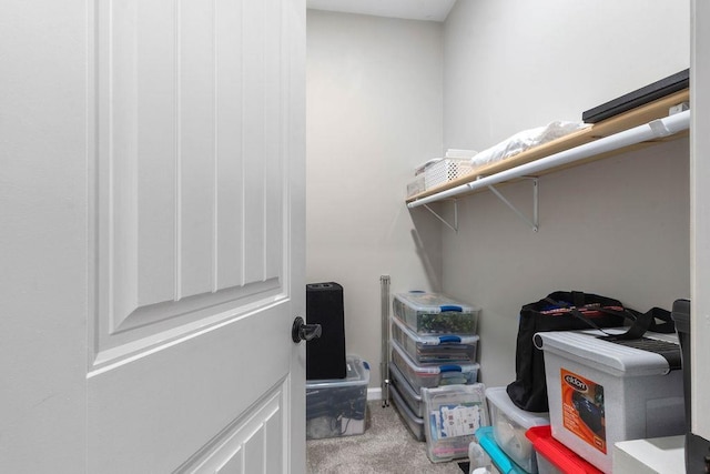 spacious closet featuring carpet floors