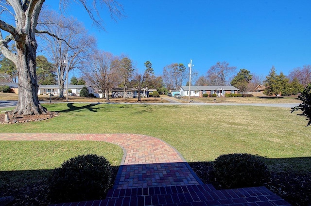 view of yard