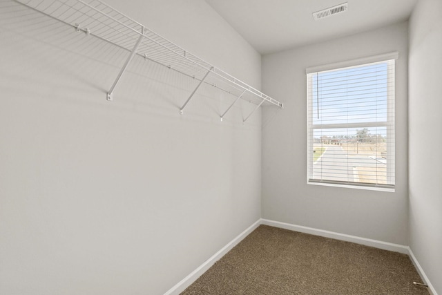 spacious closet with carpet floors and visible vents