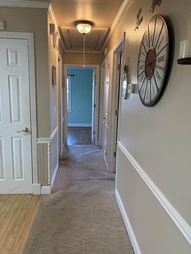 corridor with attic access, carpet, crown molding, and baseboards