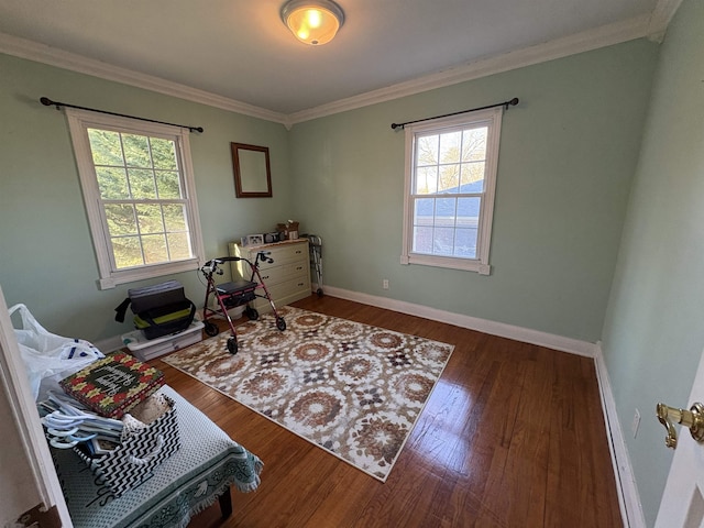 office area featuring ornamental molding, plenty of natural light, baseboards, and wood finished floors