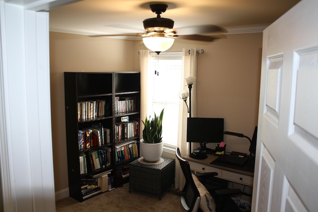 office space featuring ceiling fan, carpet floors, and ornamental molding